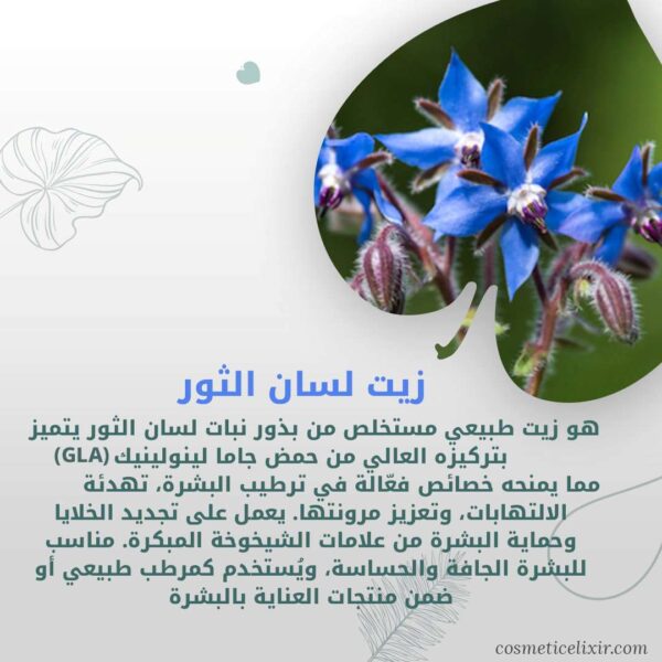 كريم-فرنسي-طبيعي-لمحيط-العين-لتقليل-الانتفاخ-و-الهالات-السوداء-يحتوي-على-زيت-لسان-الثور-الفرنسي