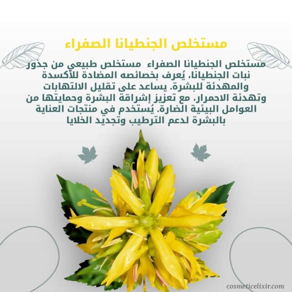 كريم-فرنسي-طبيعي-لمحيط-العين-لتقليل-الانتفاخ-و-الهالات-السوداء-يحتوي-على-مستخلص-الجنطيانا-الصفراء