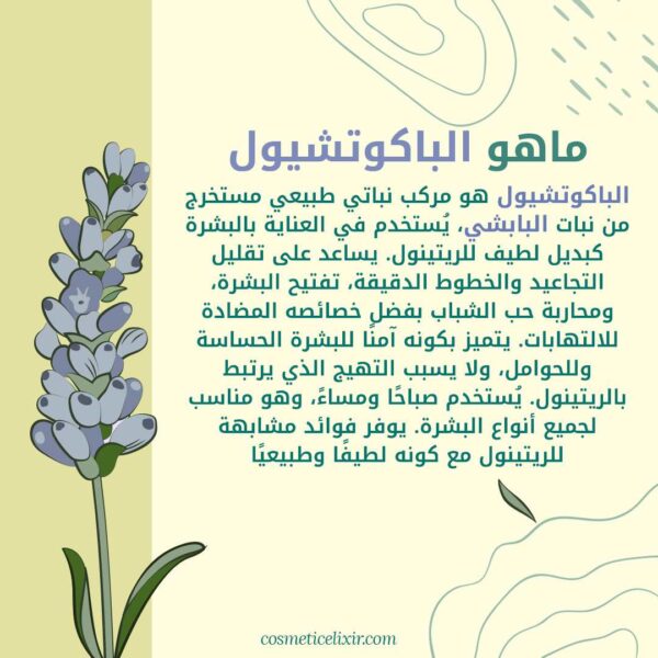 ما-هو-الباكوتشيول-البديل-الطبيعي-للريتينول