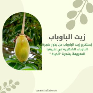 ما-هو-زيت-الباوباب