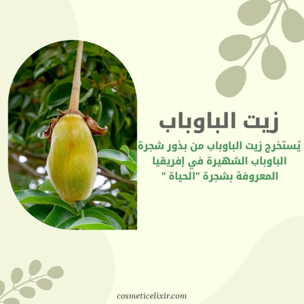 ما-هو-زيت-الباوباب