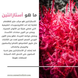 ماهو أستازانتين